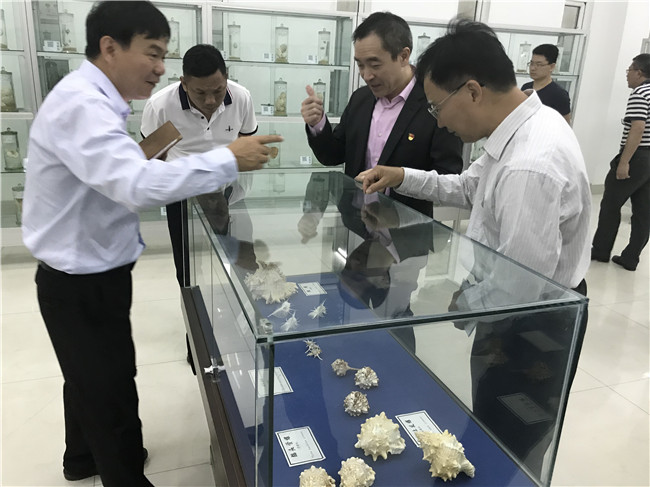 微信图片_20181019091740_副本.jpg